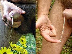 Leie, Masturbation, Im freien, Spanner