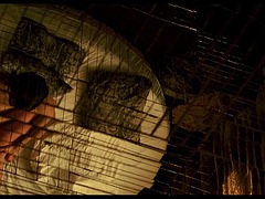 Celeb Riding Scenes compilation and bare bottoms