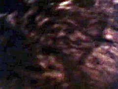 グループ, ヴィンテージ