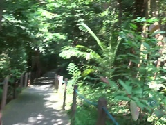 Fingern, Brille, Latina, Masturbation, Rasiert, Dürr, Abendanzug, Vibrator