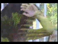 Grote mammen, Beroemdheid, Compilatie, Italiaans