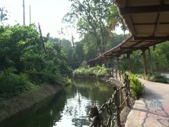 Amateur, Sucer une bite, Pieds, Branlette thaïlandaise, Pov, Chatte, Rasée, Nénés