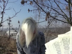 Amateur, Big cock, Blowjob, Czech, Hardcore, Pov, Public, Pussy