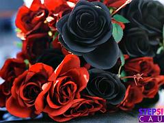 Busty Stepsis Hailey Rose Role Plays With New Stepbro Forming New Sexual Connection: Porn