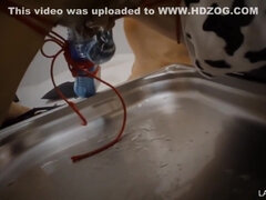 アナル, ボンデージ, 茶髪の, 巨乳な, 中出し, 乳首, ストッキング, 拘束