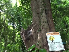 ビキニ, フェラチオ, アウトドア, ハメ撮り, 公共, ガリガリ, いじめ, オッパイの