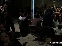 Anal, Bondage domination sadisme masochisme, Grosse bite, Bondage, Femme dominatrice, Partouze, Groupe, Hard