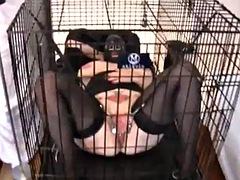 Enthousiasteling, Bondage discipline sadomasochisme, Fetisj, Slaaf