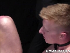 Anaal, Kont, Bondage discipline sadomasochisme, Fetisj, Homo, Hd, Aftrekken, Speelgoed