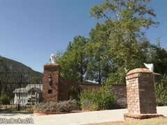 美女, デカ尻, フェラチオ, 茶髪の, 手コキする, 異人種間, ティーン, 三人