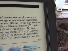 素人, ビーチ, フェラチオ, 露出狂, オナニー, ヌード, アウトドア, 濡れ