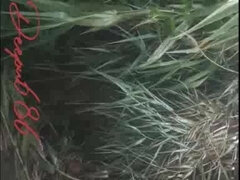 Bruinharig, Stel, Lul, Hardcore, Hd, Indisch