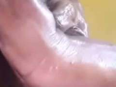 Любители, Домашнее видео, Соло