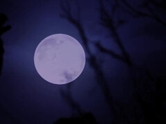 Letzy Lizz - Devil Busty Doll - Hardcore