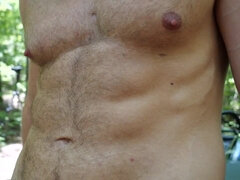 Homo, Harig