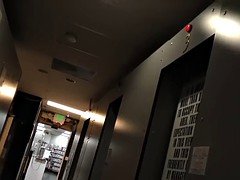 Schwarz, Blasen, Spermaladung, Schwarz, Aufs gesicht abspritzen, Schwanzloch, Interrassisch, Pornostars