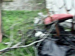 Schwarz, Prominente, Lesbisch