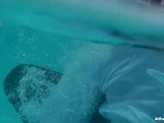アウトドア, プール, サテン, 秘密の, ストッキング, 水中, 濡れ