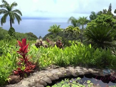 素人, お尻, ビーチ, 眼鏡, ハメ撮り, 剃毛, ガリガリ, 喫煙