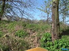 Любители, В машине, Кончили внутрь, На природе, На публике, Киски, Рыжие