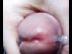コンピレーション