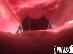 Leie, Grosser arsch, Faustfick, Hardcore, Selbstgemacht, Masturbation, Milf, Mutti