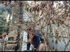 18 летние, Любители, Грудастые, Домашнее видео, Писсинг, Соло, Молоденькие, Туалет