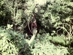 アジア人, フェラチオ, グループ, ハードコア, 秘密の, ヴィンテージ