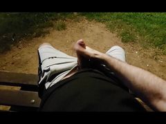 Risky park jerking (fooling around with my dick out in public, no cumshot)