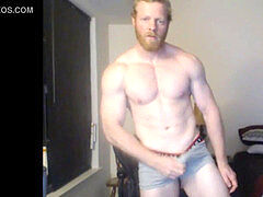 fellows in web cam