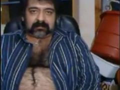 Big hairy bear and hairy body