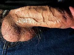 Big Veiny Cock Shaft out of jeans close up