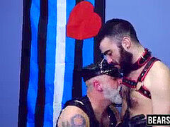 Old perverted bear in biker costume moist rump plows young cub