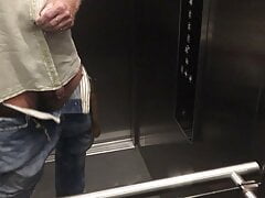 im aufzug schnell spritzende schweinerei zurueckgelassen
