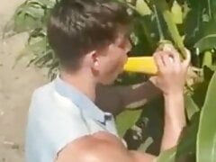 Sucking corn