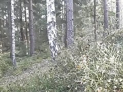 naked in public forest