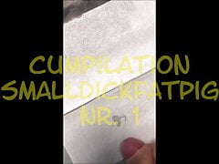 Cumpilation Smalldickfatpig I