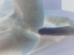 toying with faux-cocks #25