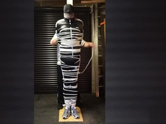 HEAVY BONDAGE SCALLY POLE TIED