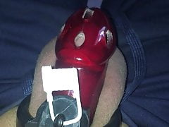 Day 1 locked in chastity cage