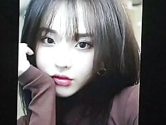 Korean friend cumtribute 2