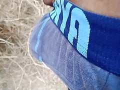 Hard dick