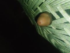 Better then Hand job Boys masturbation