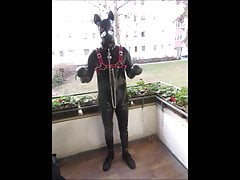 I m a Rubber Doggy
