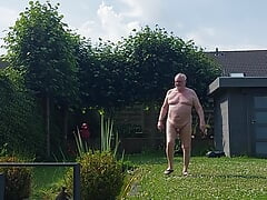 Nice weather in the garden