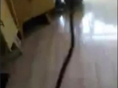 Chinese daddy shows off his big toy (no cum)