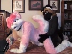 Furry Fun Yiff Yiff