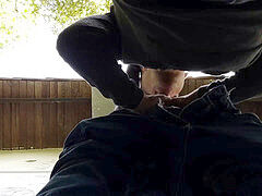 Gay forest, head, gay swallow