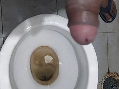 A guys masturbate penis in the bathroom