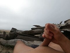 Cloudy beach day in dunes with dick